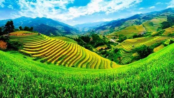 Chuyên gia Hotspot Matrix phân tích: Chiếc quần